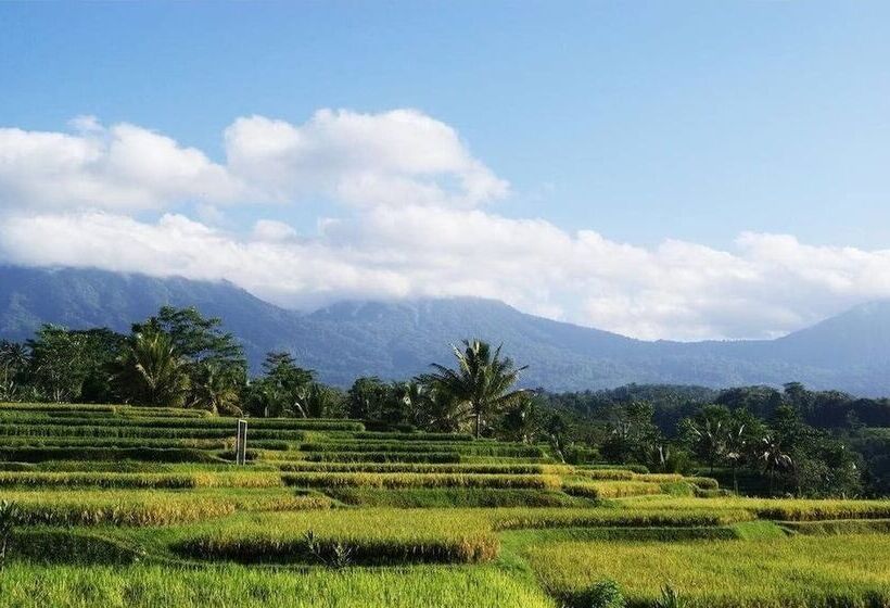 호텔 Ti Amo Bali