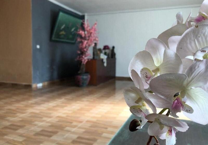 Arta Garden Guest House & Hostel