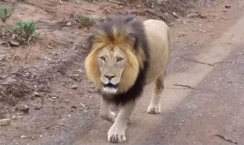 צימר Addo Riverside Villa