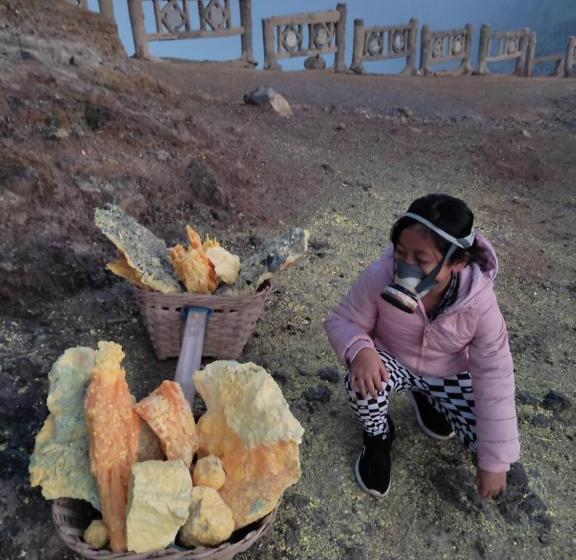 مبيت وإفطار Kopikuin Bromo Homestay