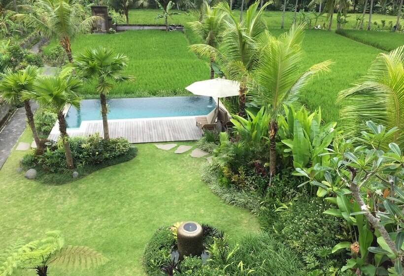 민박 The Suris Ubud