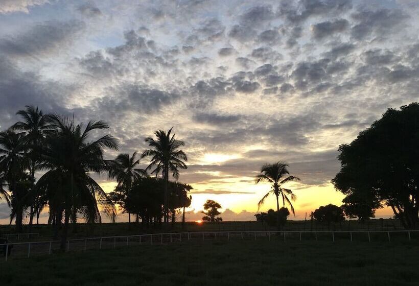 住宿加早餐  Wera Beach Resort