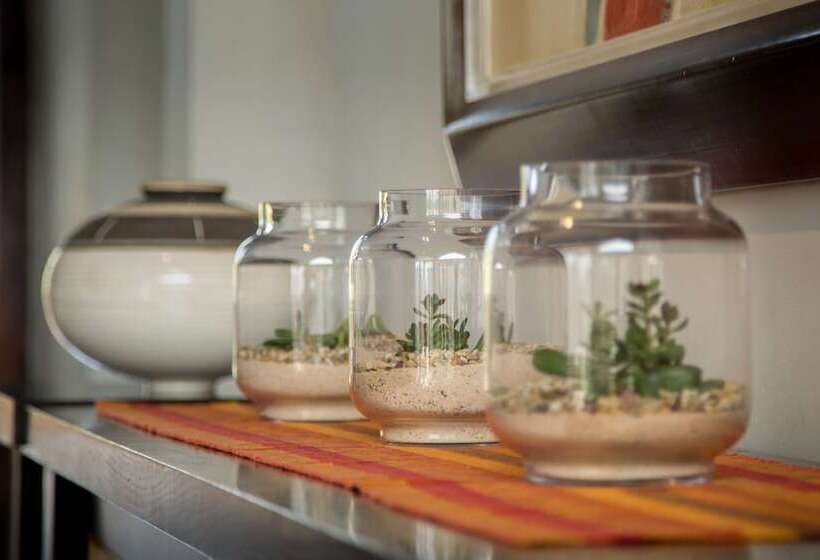 בית מלון כפרי Hopewell Private Game Reserve