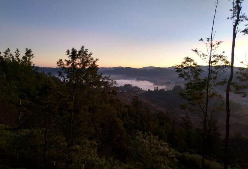호텔 Janardan Tea Resort   Campsite