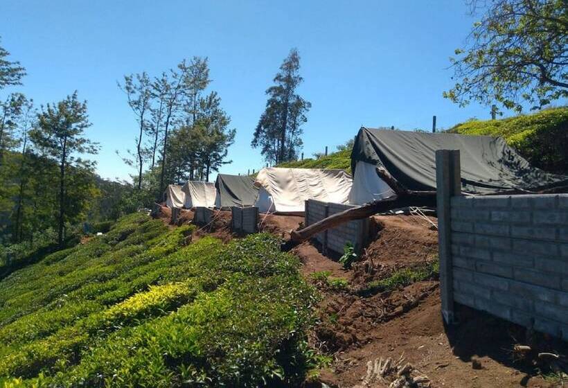 호텔 Janardan Tea Resort   Campsite