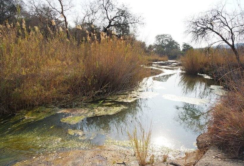 酒店 Thandabantu Game Lodge