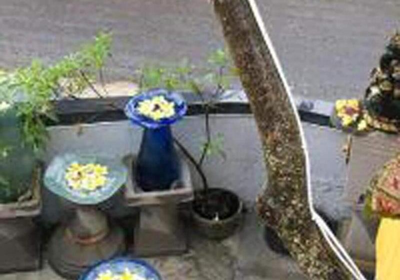 Общежитие Bulan Bali Guest House