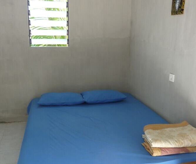 호스텔 Surfers Dorm House