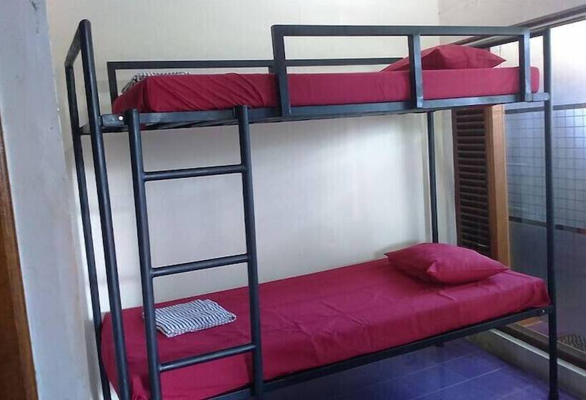 호스텔 Surfers Dorm House