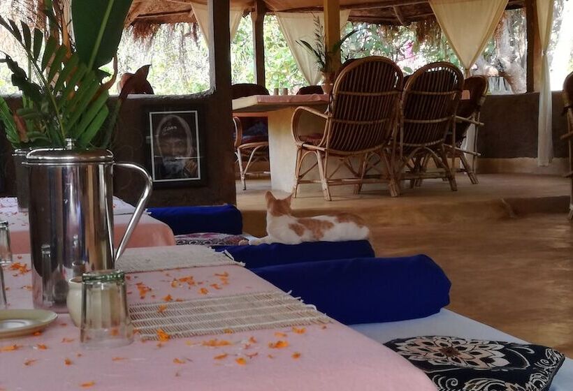 Banyan Tree Yoga