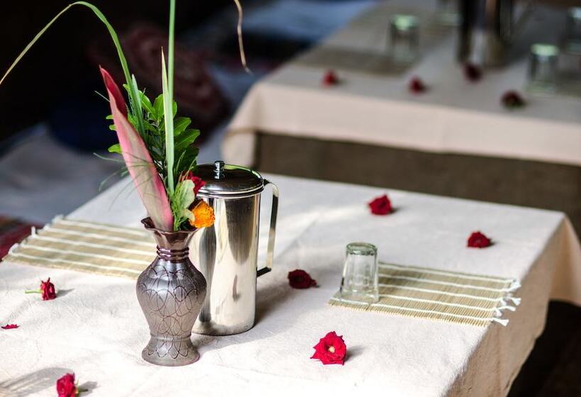 Banyan Tree Yoga