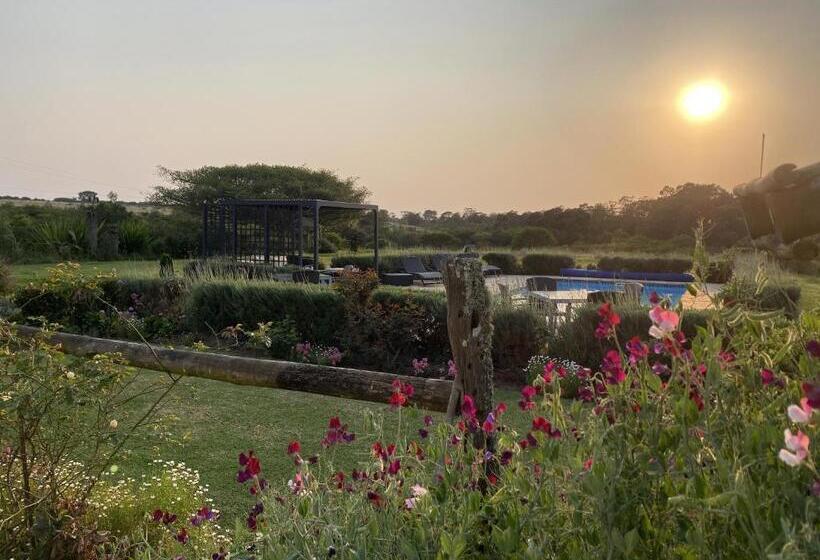 פנסיון Kingston Farm