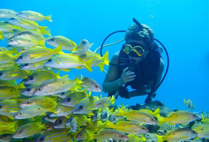 Отель Coral Divers
