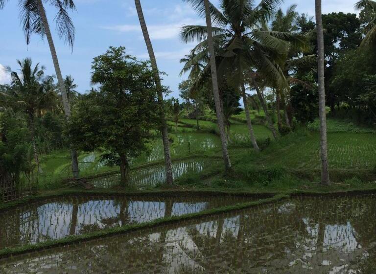 ペンション Bukit Asri Lodge