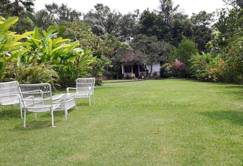 ペンション Bukit Asri Lodge