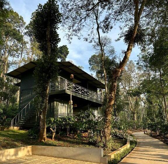 渡假胜地  Machaan Wilderness Lodge Nagarahole