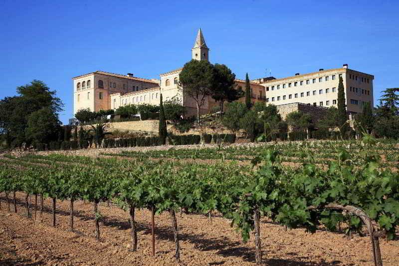 Сельский отель Monestir De Les Avellanes