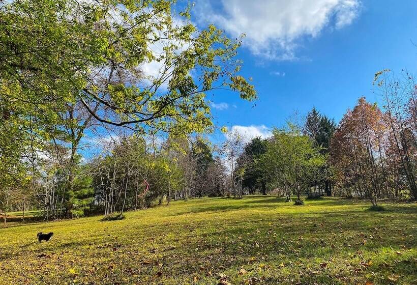 住宿加早餐  Vaiden Inn