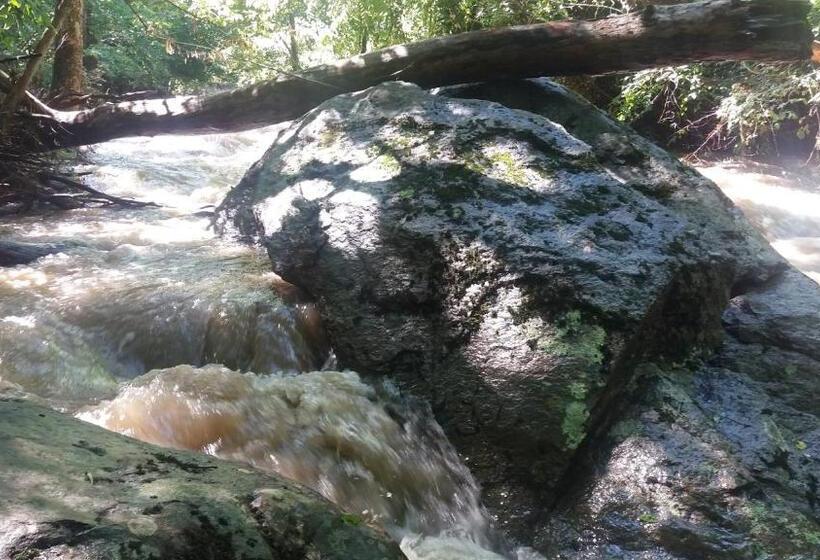 Bliss Point Farm And B&b, Llc