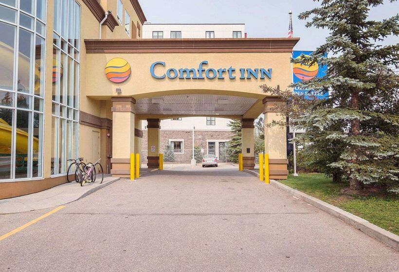 هتل Comfort Inn & Suites University