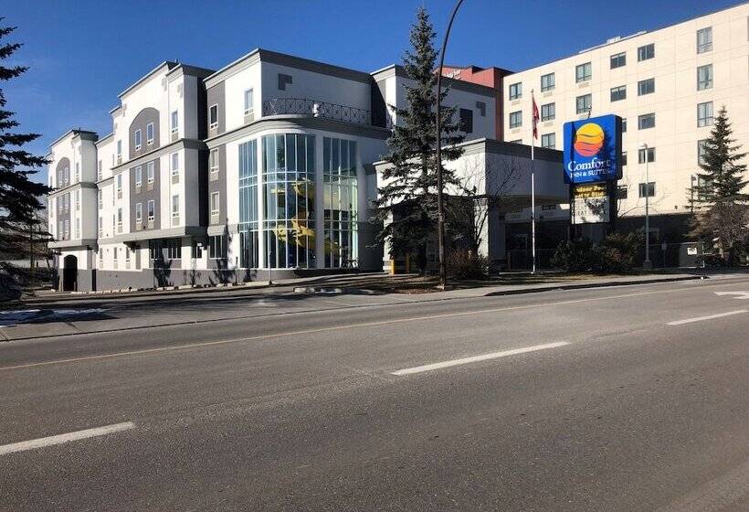 هتل Comfort Inn & Suites University