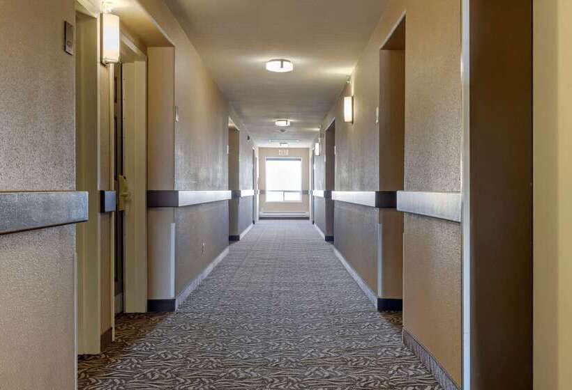 هتل Comfort Inn