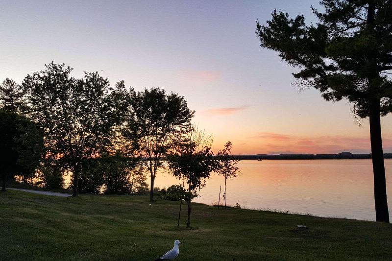 فندق Quality Inn