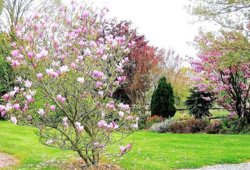 Hotel Auberge D Andaines