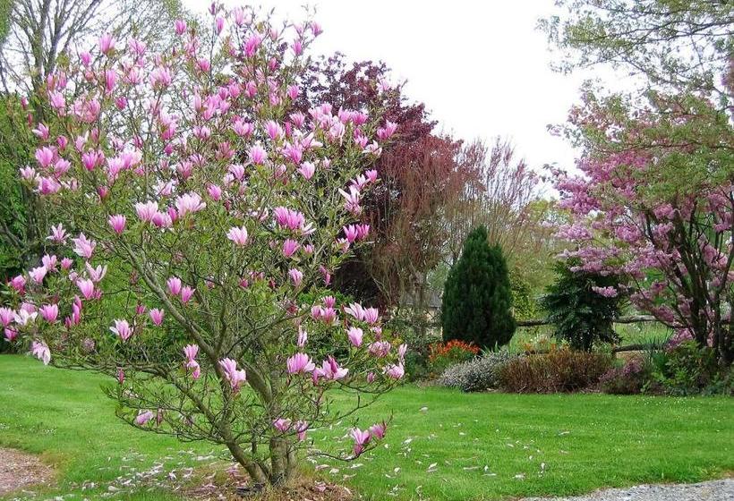 Hotel Auberge D Andaines