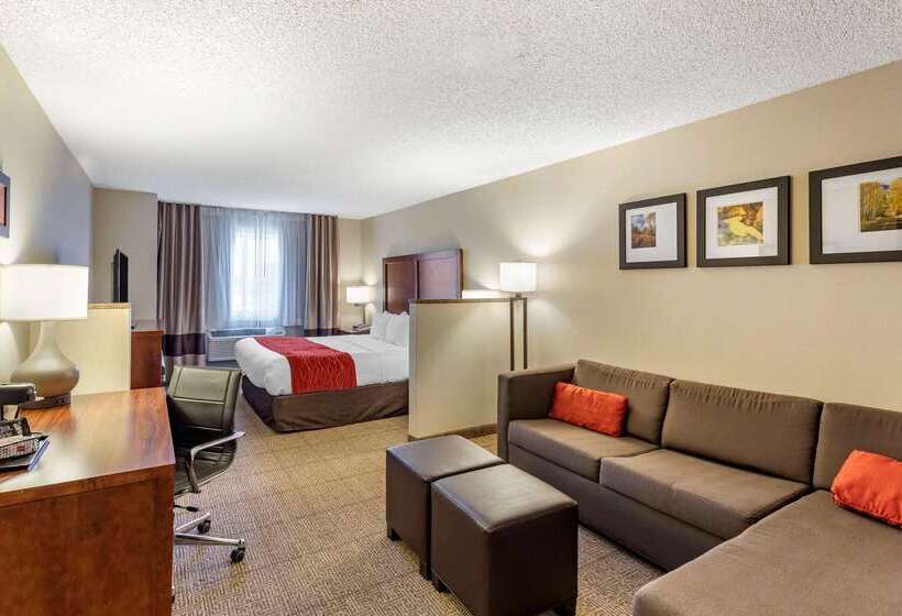 酒店 Comfort Inn Denver West Arvada Station