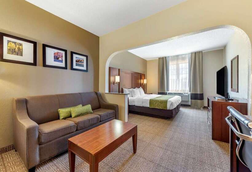فندق Comfort Suites