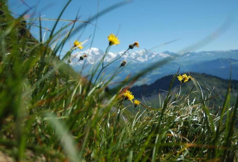 בית מלון כפרי Le Caprice Des Neiges