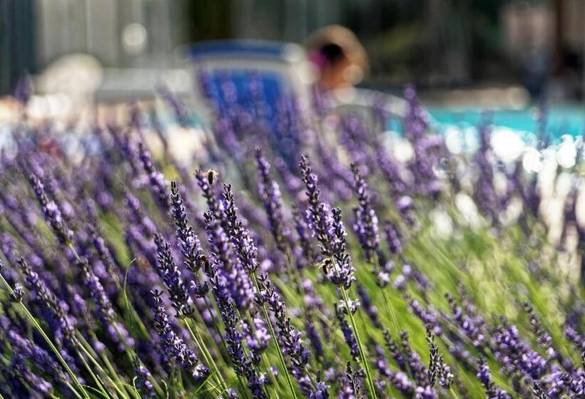 ホテル Logis Des Trois Maures