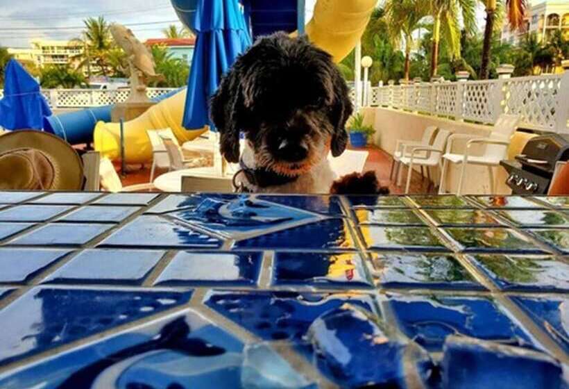 فندق Comfort Inn Oceanside Deerfield Beach