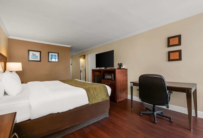 فندق Comfort Inn Oceanside Deerfield Beach