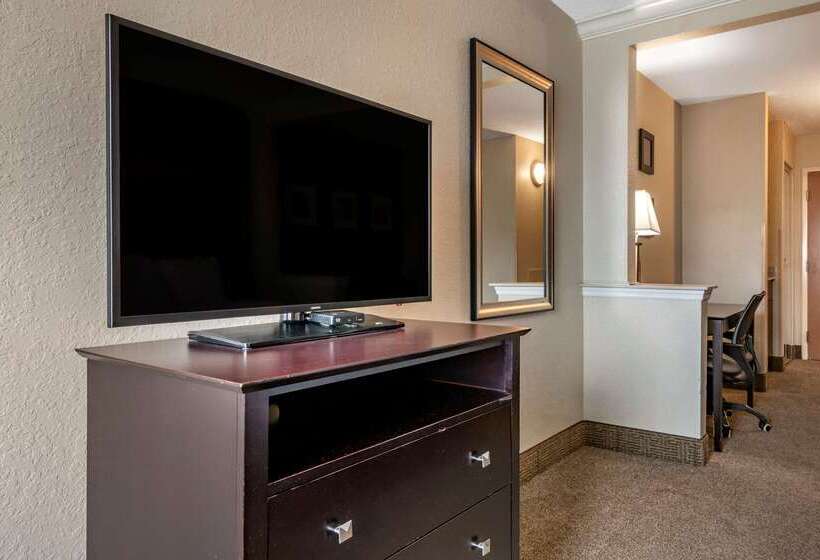 בית מלון כפרי Comfort Inn & Suites Deland  Near University