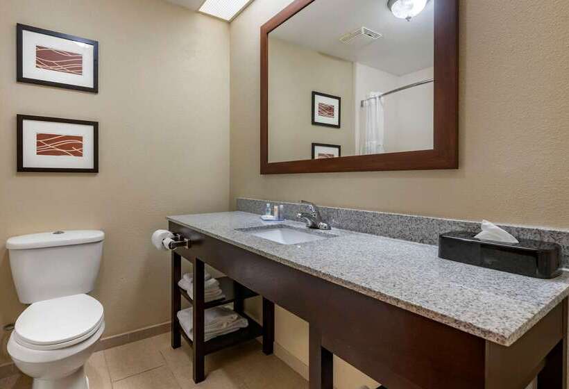 בית מלון כפרי Comfort Inn & Suites Deland  Near University