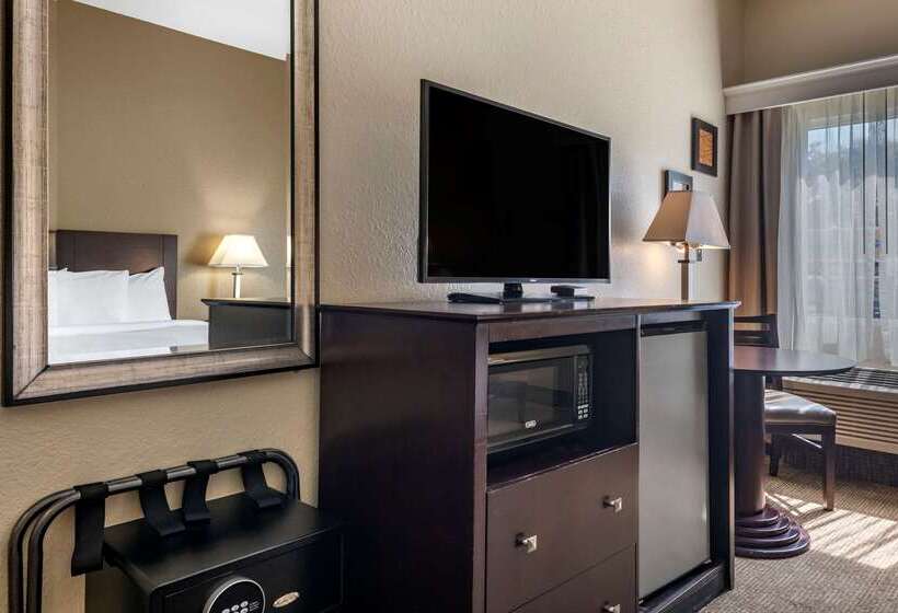 בית מלון כפרי Comfort Inn & Suites Deland  Near University
