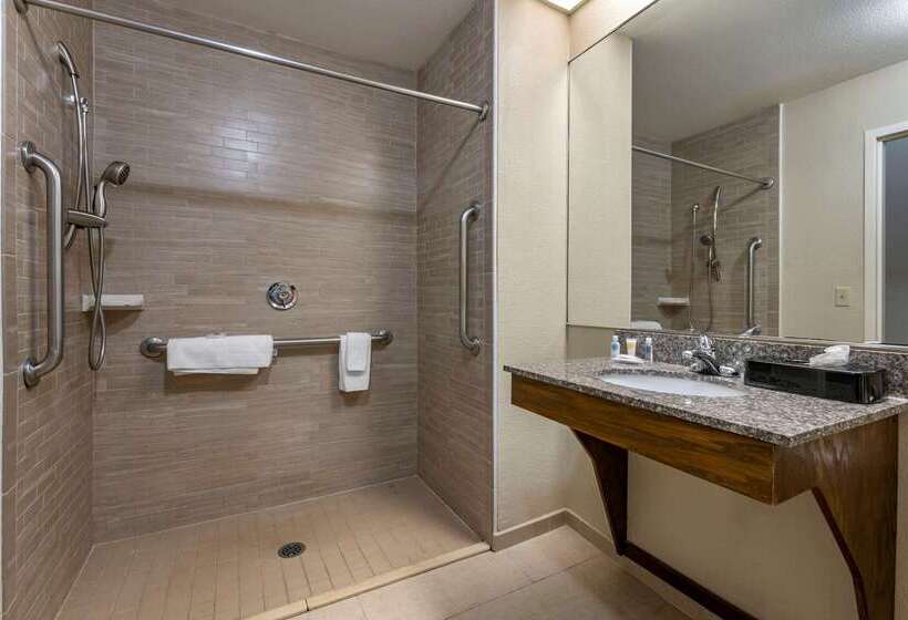 בית מלון כפרי Comfort Inn & Suites Deland  Near University