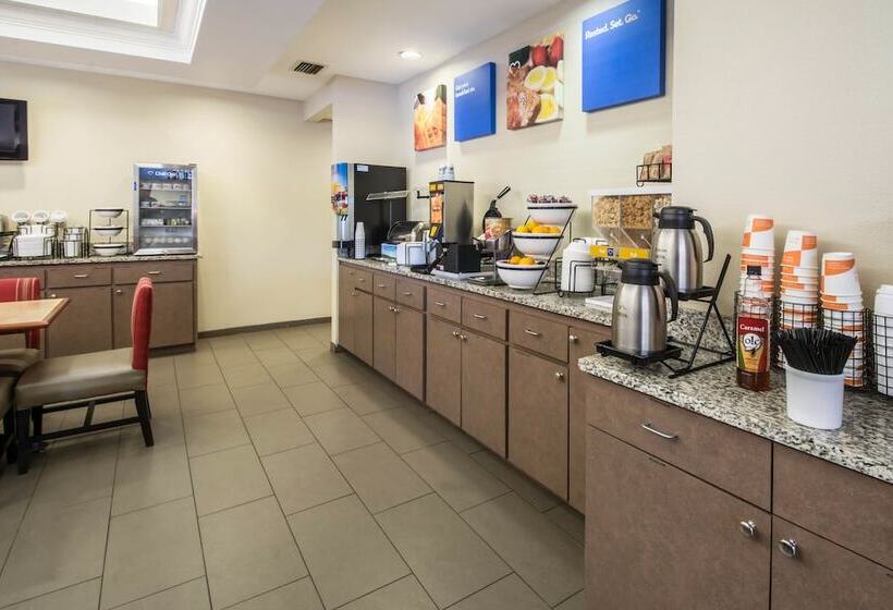 בית מלון כפרי Comfort Inn & Suites Deland  Near University