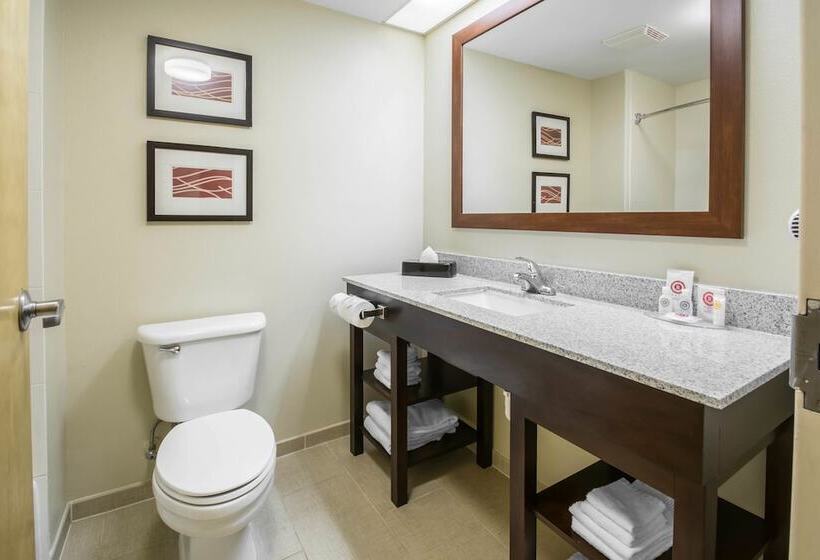 בית מלון כפרי Comfort Inn & Suites Deland  Near University