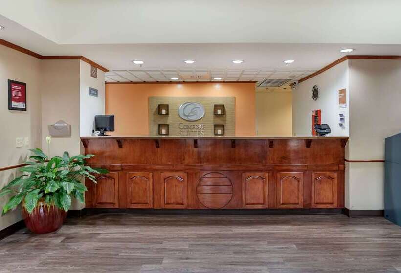 فندق Comfort Suites Airport