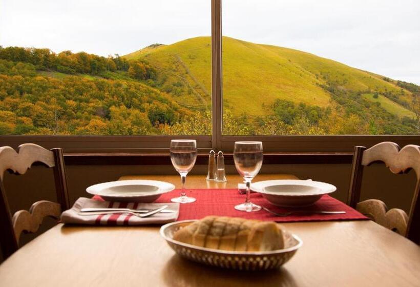 ホテル Hôtel Et Restaurant Du Col Osquich