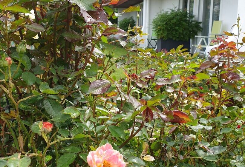 汽车旅馆  Les Jardins Du Forez