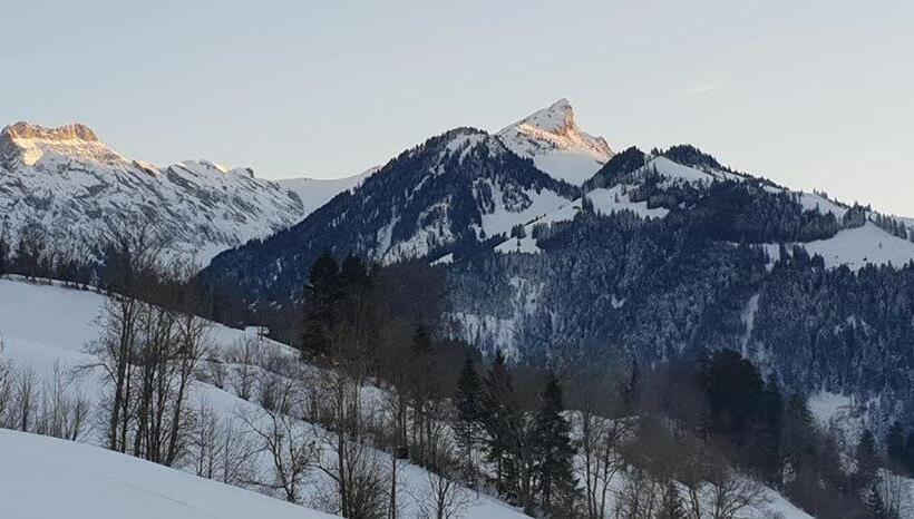 旅馆 Gasthof Engelberg