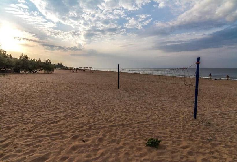 簡易ホテル Park Hotel Shinkar