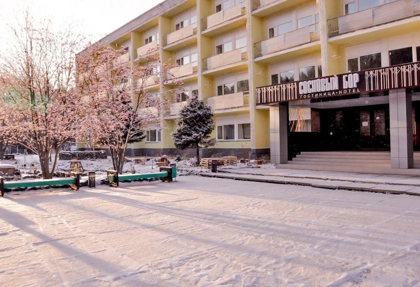 簡易ホテル Sosnoviy Bor