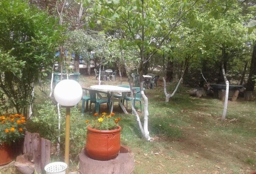 بنسيون Auberge La Forestiere