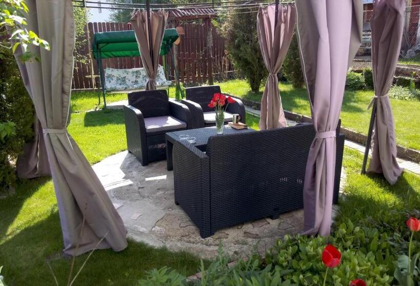 פנסיון Guest House Niya