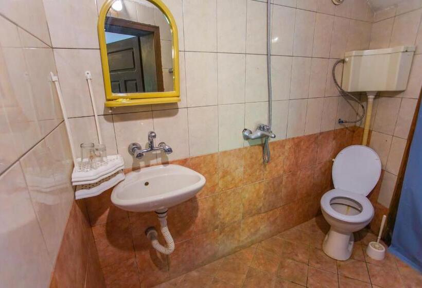 פנסיון Guest House Planinska Sreshta